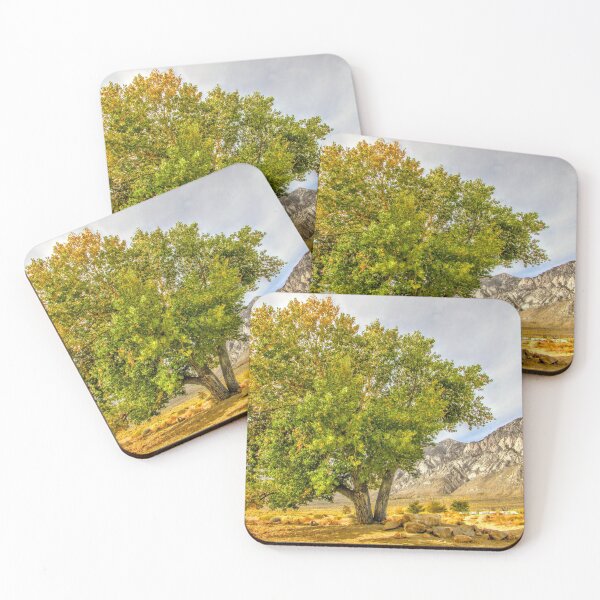 Item preview, Cottonwood Magic designed and sold by MARILYN DIAZ.