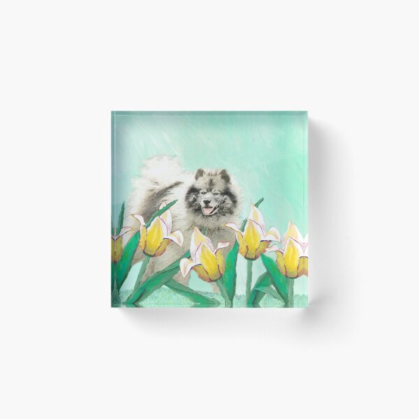 Item preview, Keeshond in Tulips designed and sold by alpendesigns.