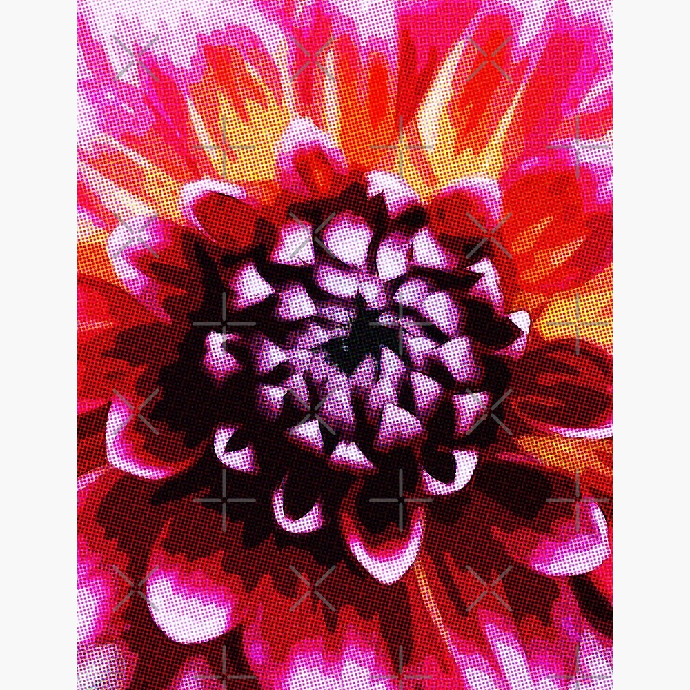 Comic Book Pop Art Pink Flower — Poster