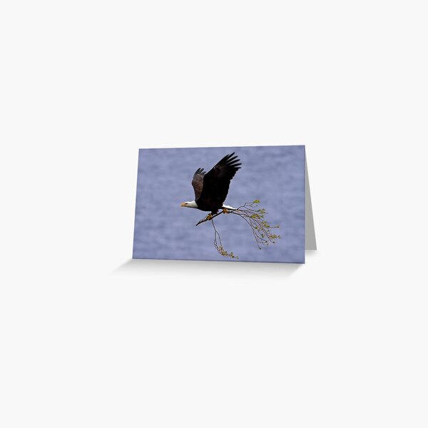Bricks and Mortar Greeting Card
