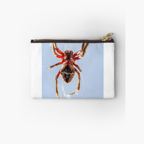 Item preview, Garden Spider designed and sold by DPalmer.