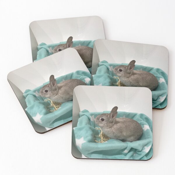Item preview, Sylvia Bunny designed and sold by JPennicott.