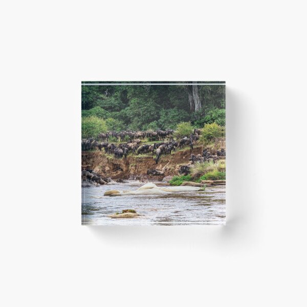 Item preview, Wildebeest Into the River designed and sold by Kay Brewer.