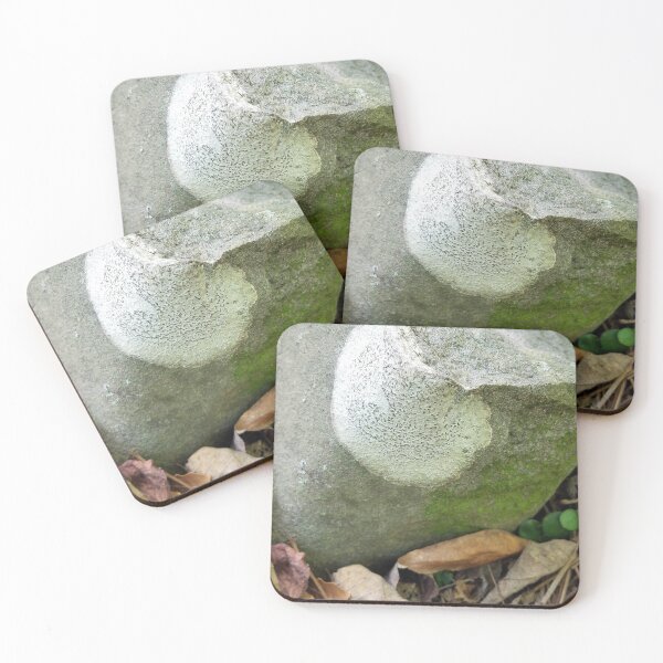 Item preview, Lichen and Moss in the Forest designed and sold by Betty Mackey.