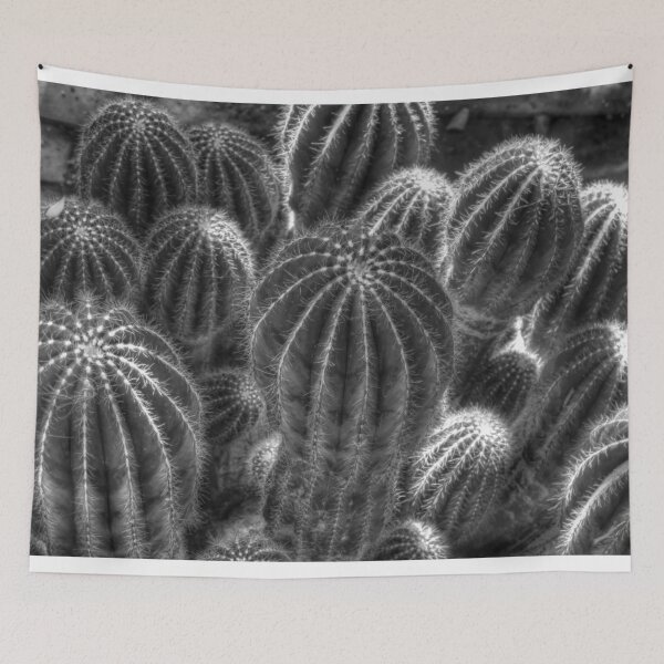 Item preview, Cacti designed and sold by shutterbug2010.
