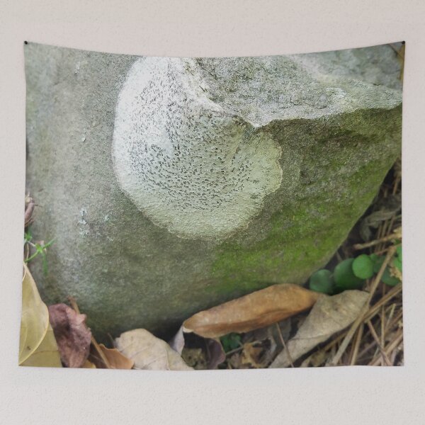 Item preview, Lichen and Moss in the Forest designed and sold by Betty Mackey.