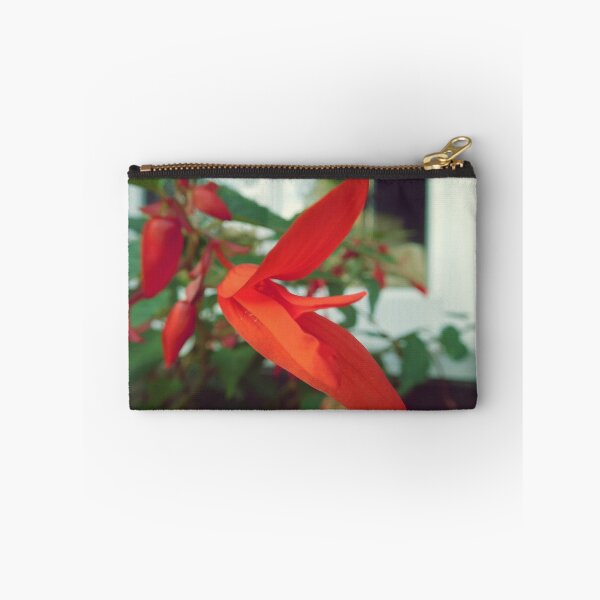 Item preview, Begonia 'bonfire' designed and sold by magsdesigns.