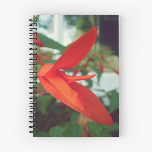 Item preview, Begonia 'bonfire' designed and sold by magsdesigns.