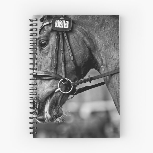 Item preview, Animal Portrait - Horse (4) designed and sold by Wolf Sverak Photography.