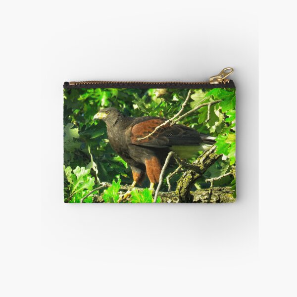 Item preview, Harris's Hawk designed and sold by shutterbug2010.