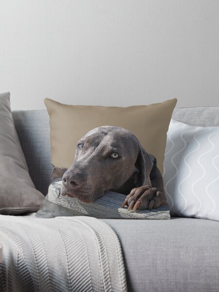 Item preview, Friendly Neighbourhood Weimaraner designed and sold by mokacat.