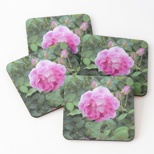 Item preview, Chantilly Pink designed and sold by Andykinoz.