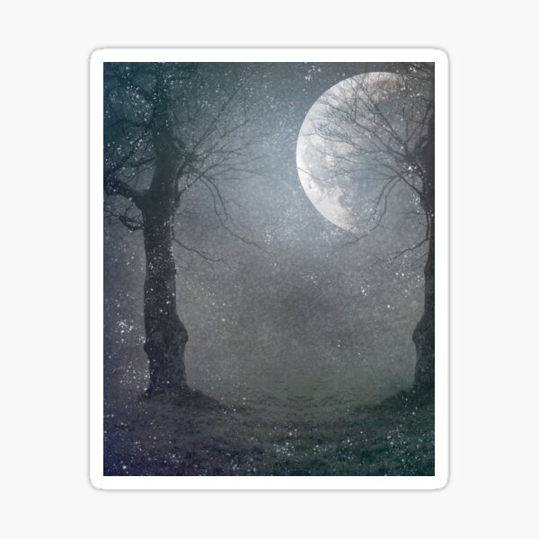 Dark Forest Sticker