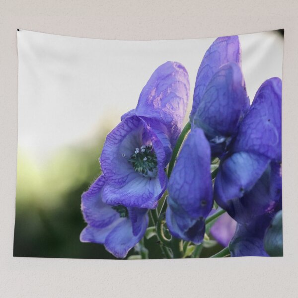 Item preview, Monkshood and the Setting Sun I designed and sold by cuprum.