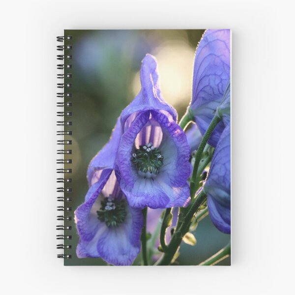 Item preview, Monkshood and the Setting Sun II designed and sold by cuprum.