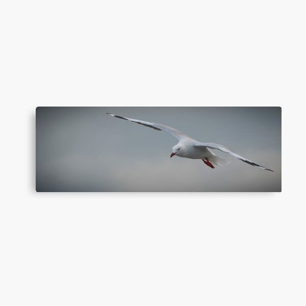 Surfing the breeze Canvas Print