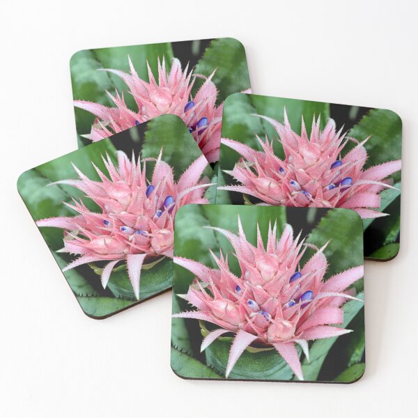 Item preview, Pink Cactus Flower designed and sold by 8FistsofTees.