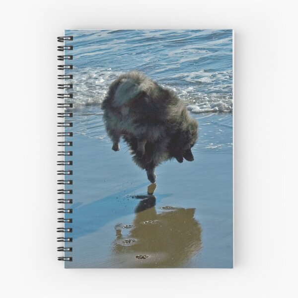 Item preview, Keeshond Ballet designed and sold by alpendesigns.