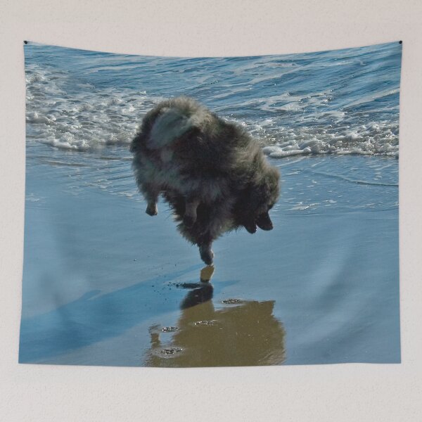 Item preview, Keeshond Ballet designed and sold by alpendesigns.