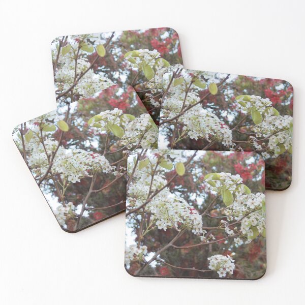 Item preview, Christmas in South Australia designed and sold by Andykinoz.