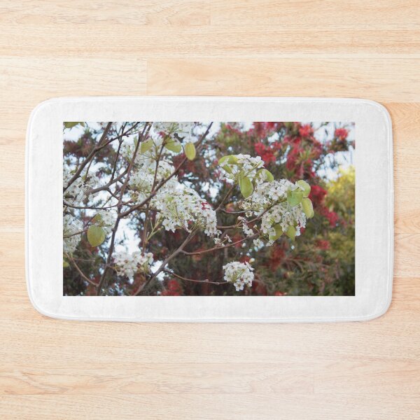 Item preview, Christmas in South Australia designed and sold by Andykinoz.