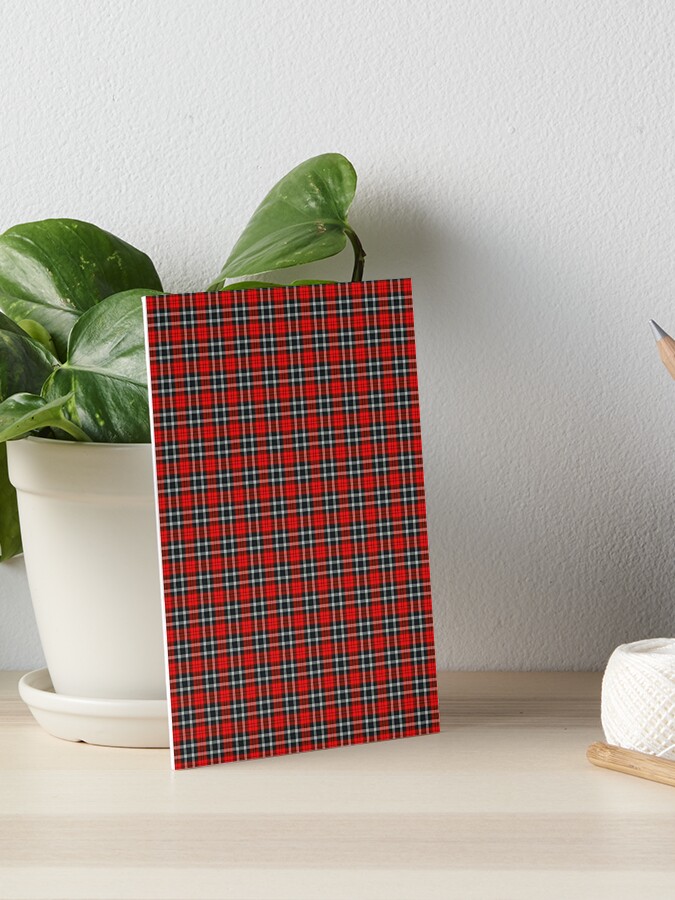 short plaid skirt 5x7