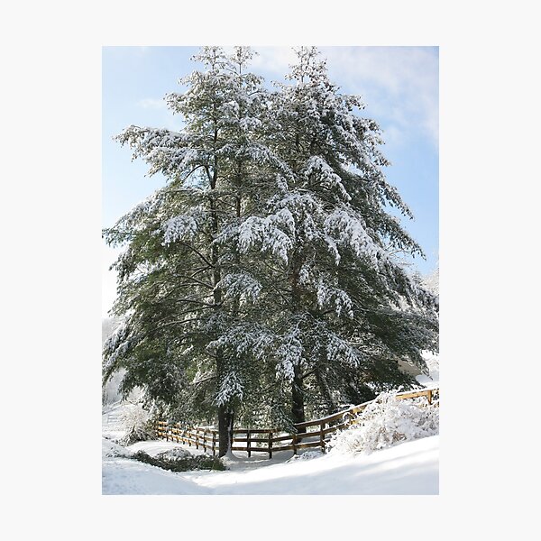 Item preview, Stopping By Trees on a Snowy Afternoon designed and sold by Hank Eder.
