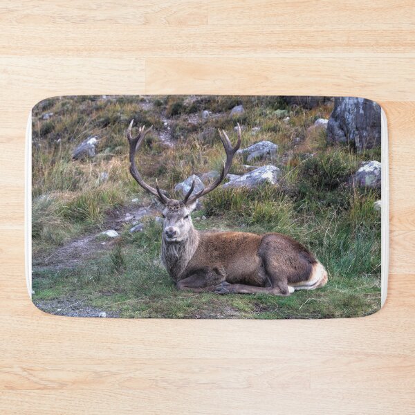 Item preview, The Stag at Rest designed and sold by Jamie  Green.