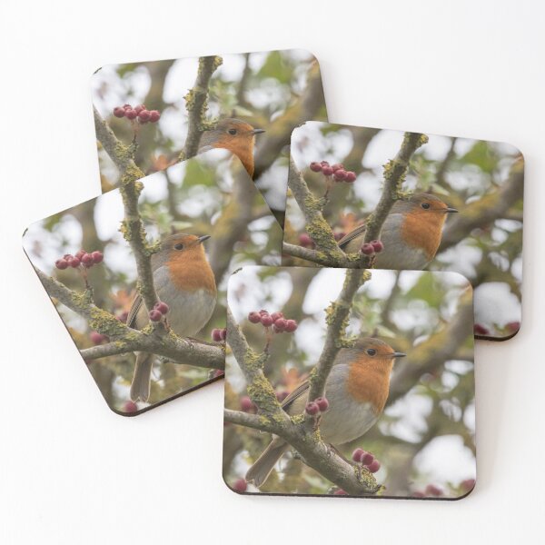 Item preview, Robin in Hawthorn designed and sold by andyroberts64.