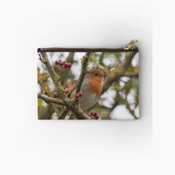 Item preview, Robin in Hawthorn designed and sold by andyroberts64.