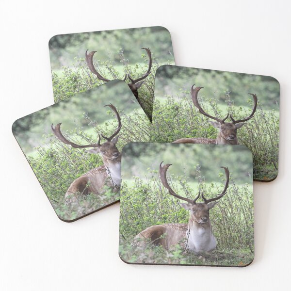 Item preview, Fallow deer buck designed and sold by andyroberts64.
