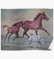 Young,Wild and Free Poster