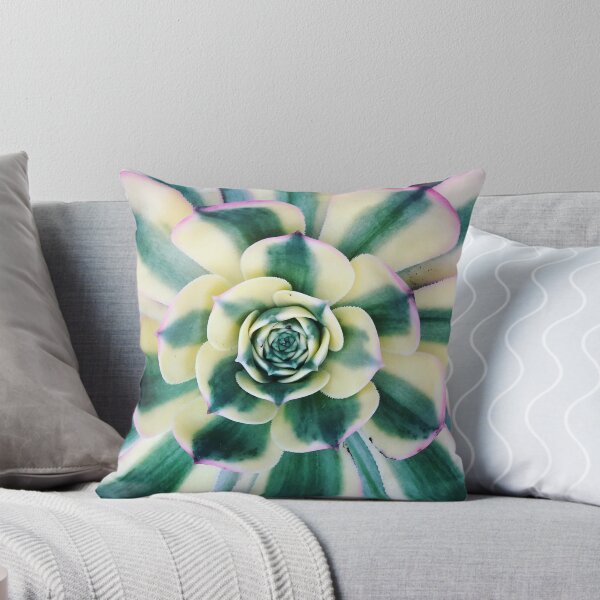Aperçu de l'œuvre Sunburst Succulent créée et vendue par Jaynemilo.