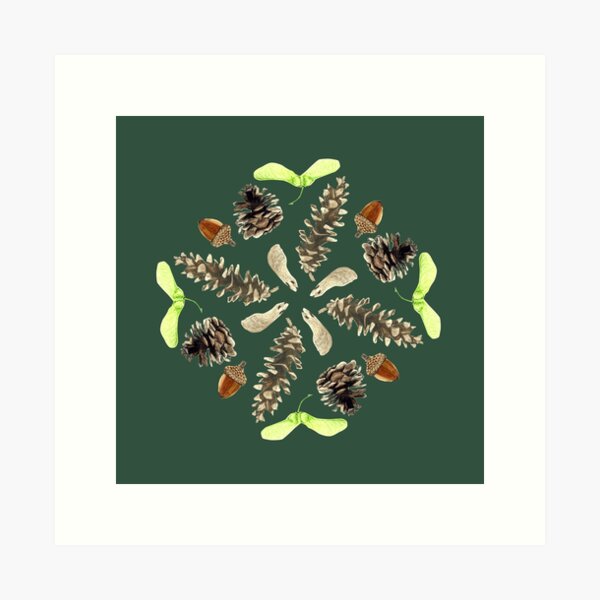 Woodland Mandala - Seeds and Pine Cones- watercolor Art Print