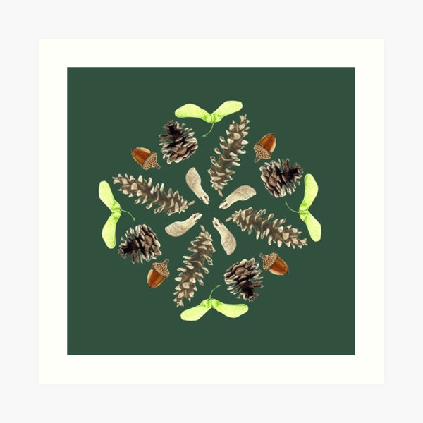 Woodland Mandala - Seeds and Pine Cones- watercolor Art Print