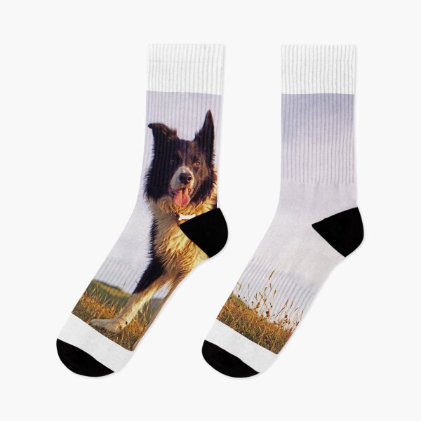 Item preview, Always In My Heart. designed and sold by Michael Haslam.