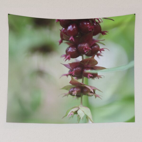 Item preview, Pheasant Berry designed and sold by cuprum.