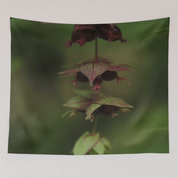 Item preview, Pheasant berry in low key designed and sold by cuprum.