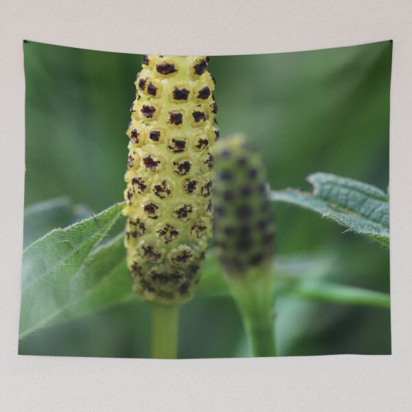 Item preview, Horsetail Flower designed and sold by cuprum.