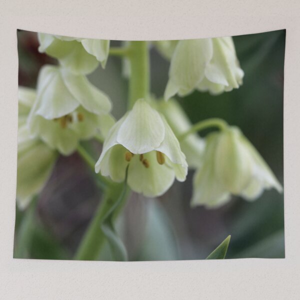Item preview, Ivory Bells designed and sold by cuprum.