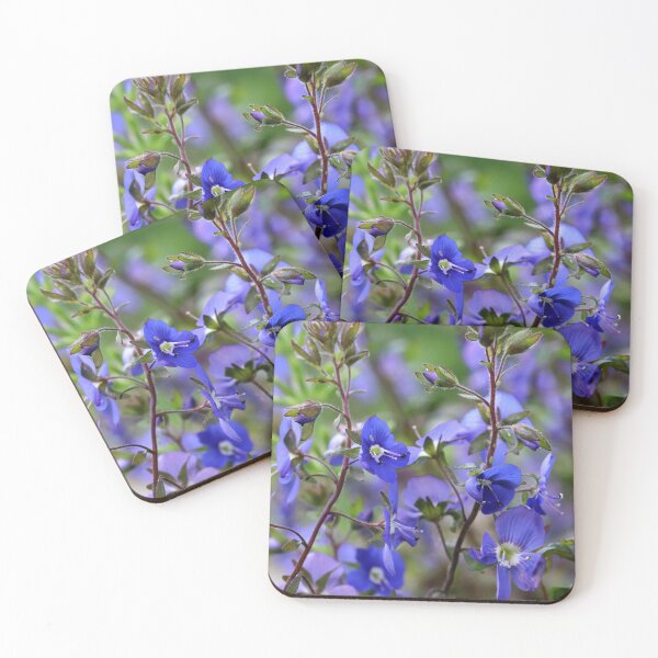 Item preview, Creeping Speedwell designed and sold by cuprum.