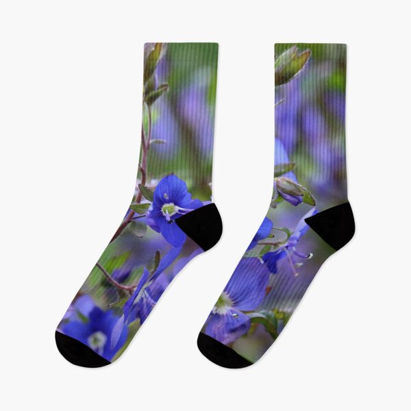 Item preview, Creeping Speedwell designed and sold by cuprum.