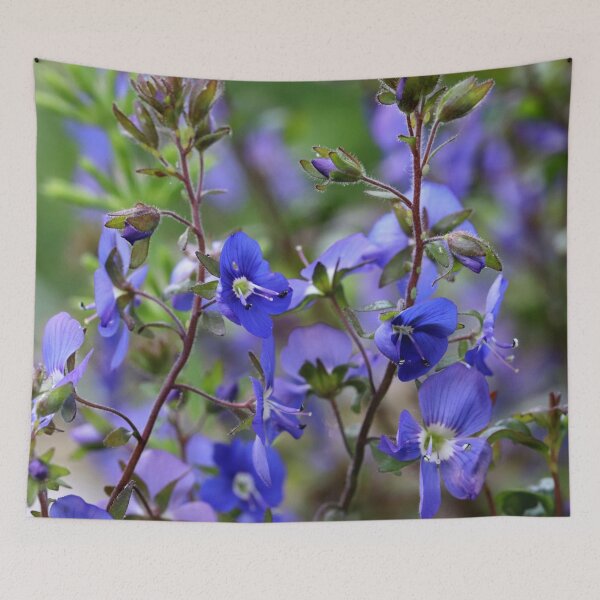 Item preview, Creeping Speedwell designed and sold by cuprum.