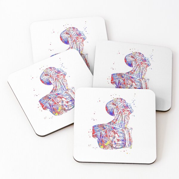 Item preview, Human torso, human anatomy, human body designed and sold by Rosaliartbook.