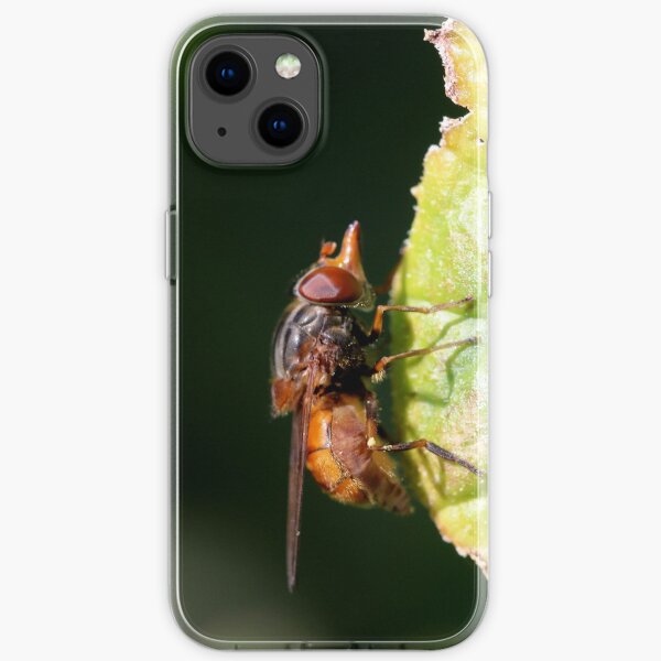 Why the Long Nose? iPhone Soft Case