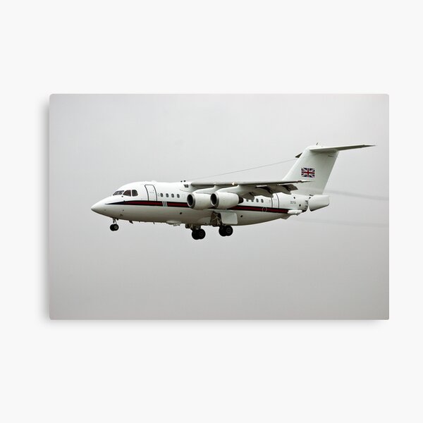 Royal Flight Canvas Print