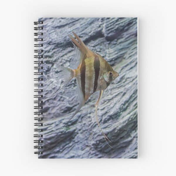 Item preview, Pterophyllum scalare, angelfish designed and sold by Martin Leber.