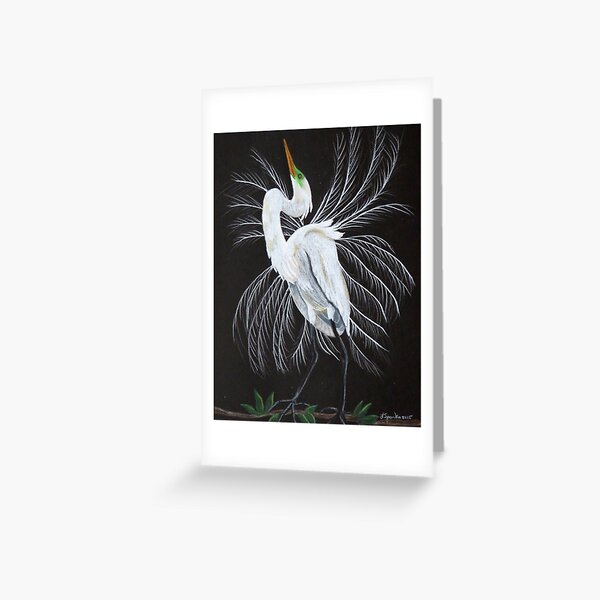 Great egret mating display Greeting Card
