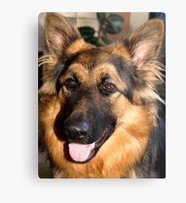 Magestic Metal Print