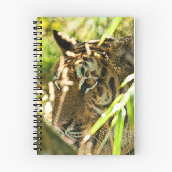 Item preview, tiger in the bamboo designed and sold by peterwyatt.
